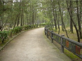 プロポーズ街道