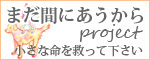 まだ間にあうから 〜小さな命を救って下さい〜