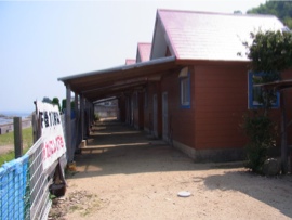 民宿厚浜キャンプ場　キャンプサイト