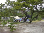 慶野松原海水浴場 一般キャンプ場
