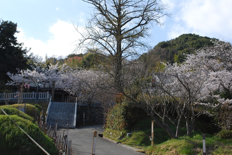 円城寺全景