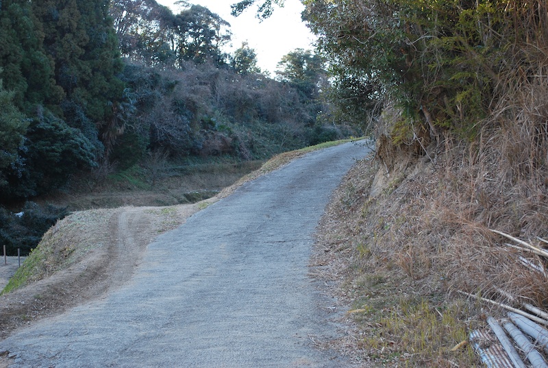岩上神社への小道