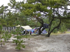 慶野松原海水浴場　キャンプ風景2