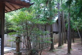 おのころ神社 本殿 横から