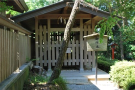 おのころ島神社 御神木