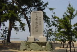 名勝　千本黒松