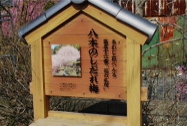 あわじ花へんろ第56番札所