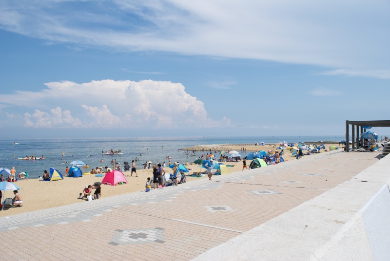 浦県民サンビーチ全景 浦県民サンビーチ全景