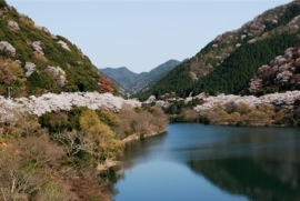 諭鶴羽ダム堰堤より