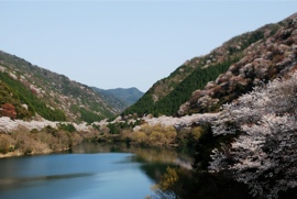 諭鶴羽ダム堰堤より